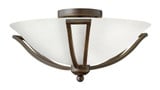 Bolla 2 Light 6 Inch Wide Flush Mount by Hinkley - 4660