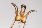 {"pim_id":"2529_SC1036_2_01_1k","sku":"2529_SC1036-2","media_type":"media"}