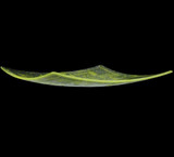 {"pim_id":"51_114431_10_13_new_1k","sku":"51_114431","media_type":"media"}