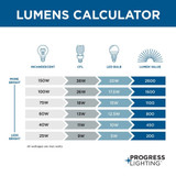 {"pim_id":"PROG_pl_lumens_chart_1200_new_1k","sku":"70_P350105","media_type":"media"}