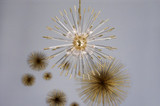{"pim_id":"128_166_2_Large_Andromeda_Chandelier_Modern_Brass_Clear_Acrylic_1k","sku":"128_166_P","media_type":"media"}