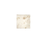 {"pim_id":"11_alr_5661_02_v1_1k","sku":"11_ALR-5661","media_type":"media"}