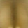 Champagne Bronze