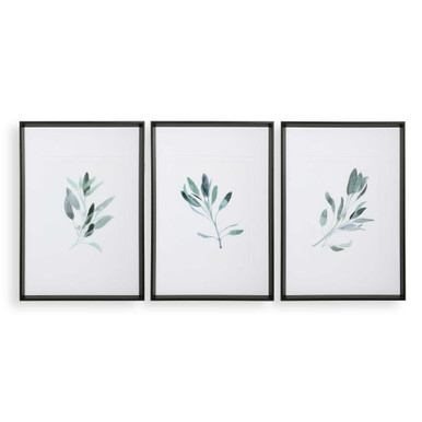 Simple Sage 36.5 Inch Watercolor Print (Set of 3) by Uttermost - 33723