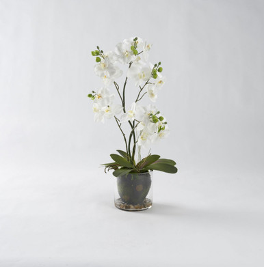 Phael Orchids 24 Inch Bowl by DW Silks - 189110