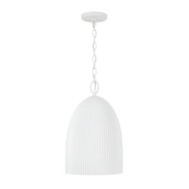 Mallory 1 Light Pendant 18.5 Inch Tall and 11 Inch Wide by Capital - 356111CE