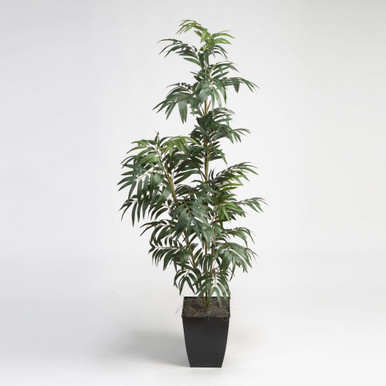 Phoenix Palm 72 Inch Square Planter by DW Silks - 320924
