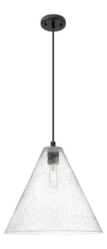 Crown Point 1 Light Berkshire Cord Pendant 16 Inch Wide by Innovations - 434-1P-GBC-16_P