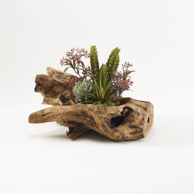 Succulents 16 Inch Planter by DW Silks - 229047