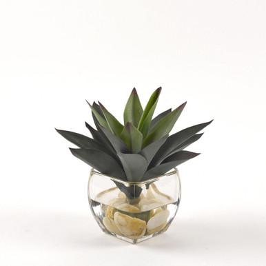 Aloe Plant 8 Inch Cube Planter by DW Silks - 209049
