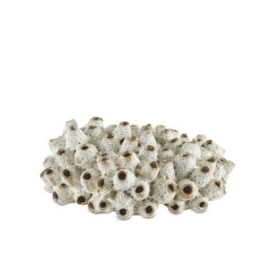 Sulawasi Shells 6 Inch Sculpture by Currey Company - 1200-0429