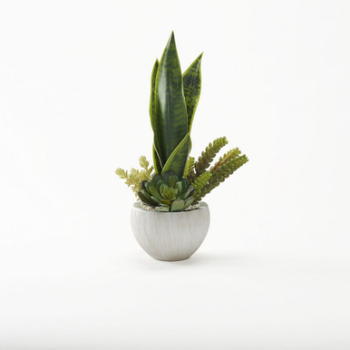 Senseveria 18.5 Inch Pot by DW Silks - 227014