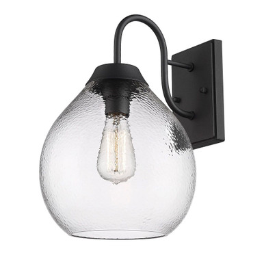 Ariella 1 Light Outdoor Wall Mount by Golden - 1094-OWM NB-HCG