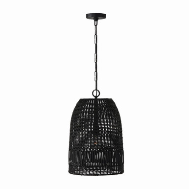 Naomi 1 Light Medium Pendant by Capital - 347512