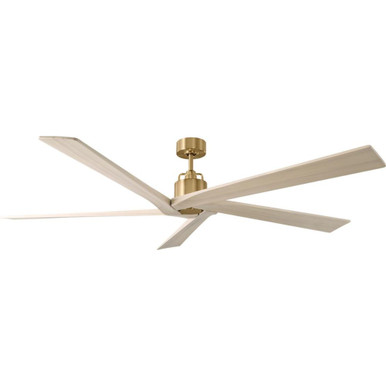 Aspen 5 Blade Ceiling Fan 13.09 Inch and 70 Inch Wide by Visual Comfort Fan - 5ASPR70BBSWWO