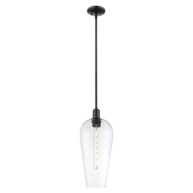 Chelsea 1 Light Mini Pendant 19.63 Inch Tall and 8 Inch Wide by Innovations - 716-1S-BK-G456-8CL