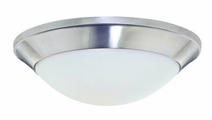Rainier 1 Light 11.75 Inch Wide Flush Mount by Dolan - 5401-09