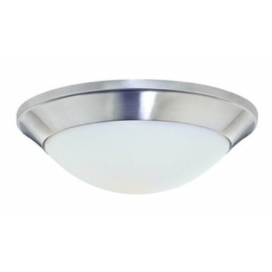 Rainier 1 Light 11.75 Inch Wide Flush Mount by Dolan - 5401-09
