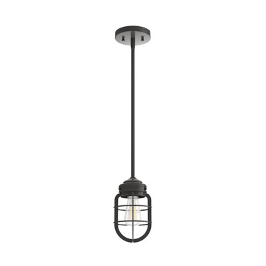 Starklake 1 Light Mini Pendant 8.5 Inch Tall by Hunter Fans - 19039