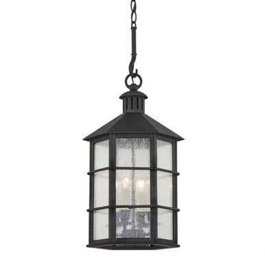 Lake County 4 Light Medium Outdoor Pendant by Troy - F2526-FRN
