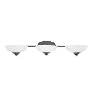 Rainier 3 Light Vanity Light by Dolan - 3903-78