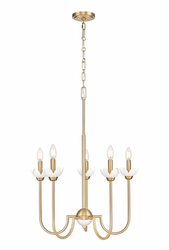 Allistair 5 Light Chandelier 31.25 Inch Tall and 24 Inch Wide by Z Lite - 352-5