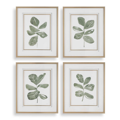 Fiddle Head Botanical Print (Set of 4) 34 Inch Tall by uttermost - 32454