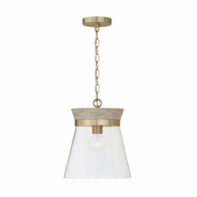 Finn 1 Light Medium Pendant by Capital - 347311