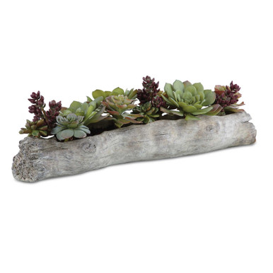 Charita 29.5 Inch Lush Succulents by Uttermost - 60174