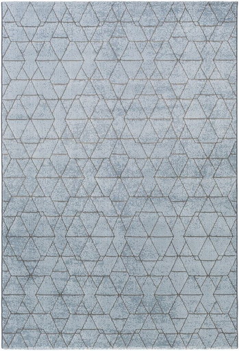 Contempo Rugs 24 x 35 Inches by Surya CPO3732 - CPO3732