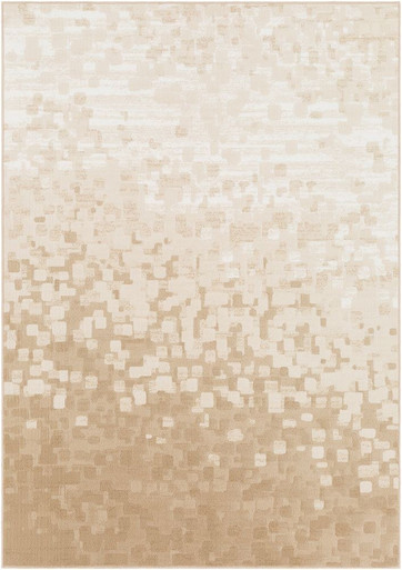 Contempo Rugs 24 x 35 Inches by Surya CPO3841 - CPO3841