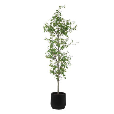 Boreal Potted Birch Tree 86.25 Inch Tall and 28.5 Inch Wide by Uttermost - 60263