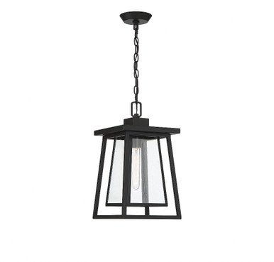 Denver 1 Light Small Outdoor Pendant by Savoy House - 5-2025-bk