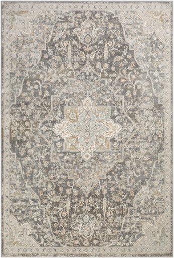 Dryden Rugs 24 x 36 Inches by Surya DDN2301 - DDN2301