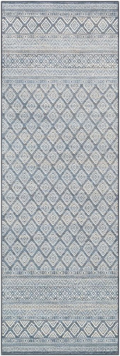 Contempo Rugs 24 x 35 Inches by Surya CPO3846 - CPO3846