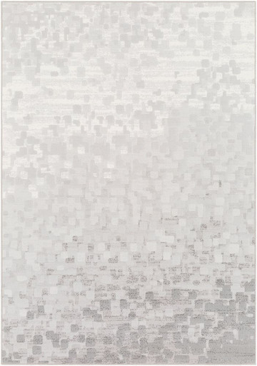 Contempo Rugs 24 x 35 Inches by Surya CPO3843 - CPO3843