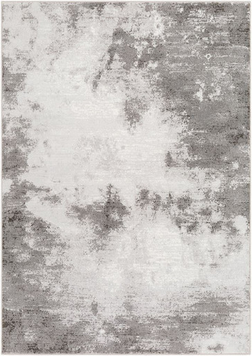 Contempo Rugs 24 x 35 Inches by Surya CPO3839 - CPO3839