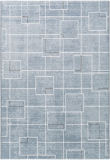 Contempo Rugs 24 x 35 Inches by Surya CPO3723 - CPO3723