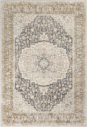 Dryden Rugs 24 x 36 Inches by Surya DDN2306 - DDN2306