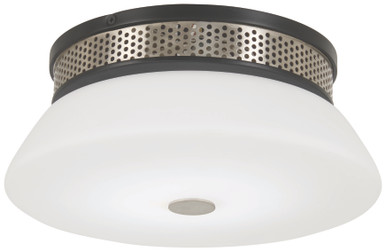 Tauten 15W 1 LED 12 Inch Wide Flush Mount by George Kovacs - P954-691-L