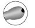 Olive Tip Capsule Polisher - Micro Etched
