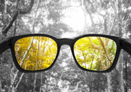 ​Color Blindness Correcting Glasses