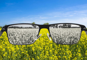 ​Color Blindness and Its Types