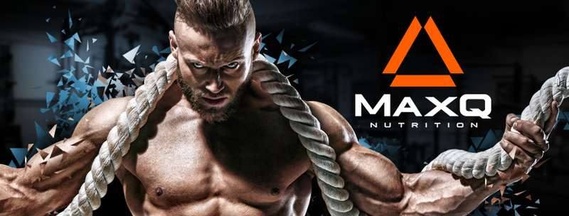 What Makes MaxQ Different?