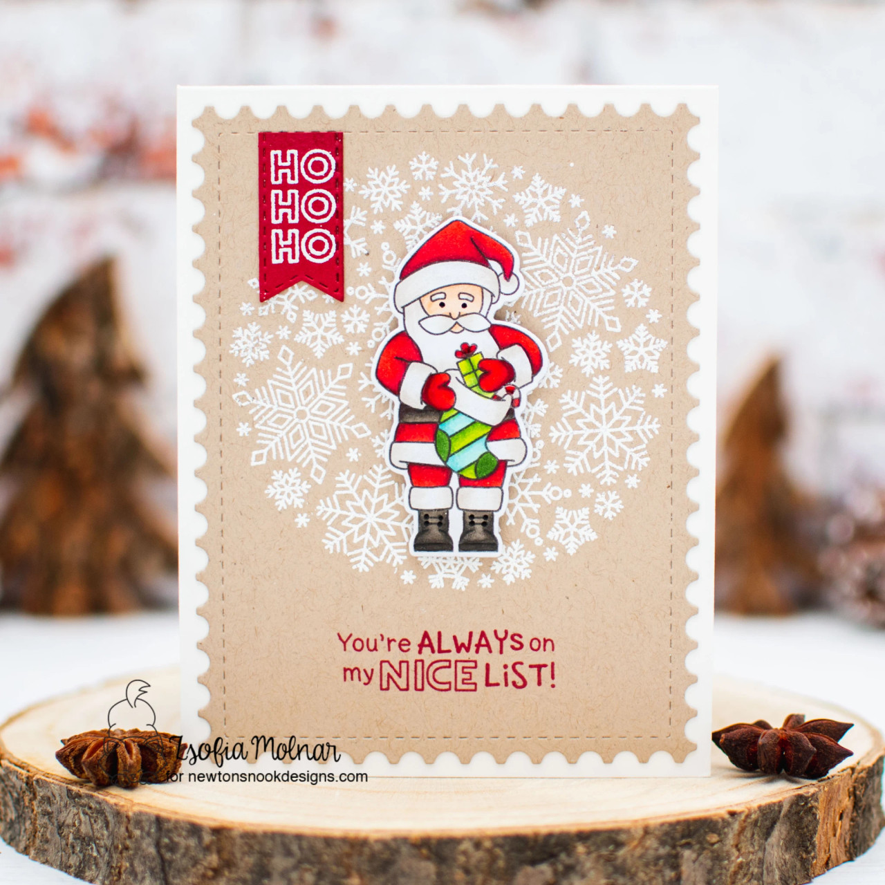 Dear Santa Clear Stamp Set-CL047