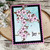 Cherry Blossoms Stamp Set ©2024 Newton's Nook Designs