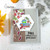 Hexagon Frames Die Set ©2024 Newton's Nook Designs