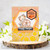 Newton's Sand Dollar Stamp Set ©2025 Newton's Nook Designs