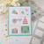 Birthday Postage Sampler Stamp Set ©2025 Newton's Nook Designs