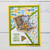 Card Layout 4 Die ©2025 Newton's Nook Designs